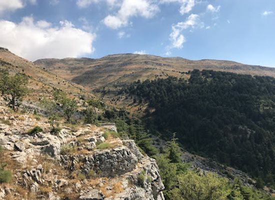 lebanon/bcharre/landmark/horsh-ehden