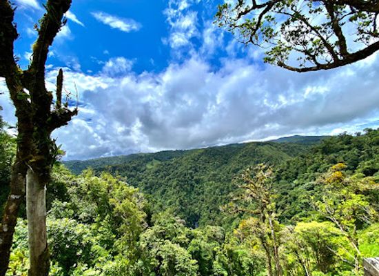 costa-rica/monteverde-cloud-forest/landmark/el-tigre-waterfalls-monteverde