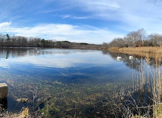 new-york/long-island/landmark/yaphank-historical-society