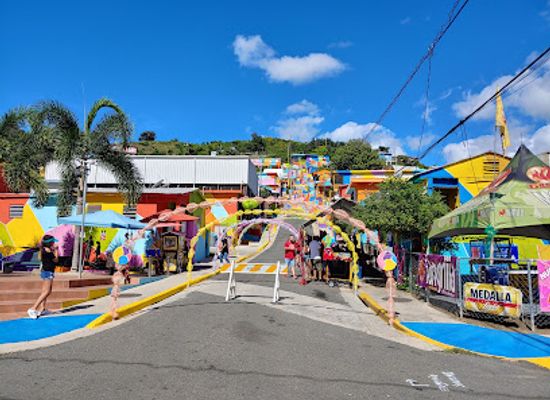 puerto-rico/west-region/landmark/yaucromatic