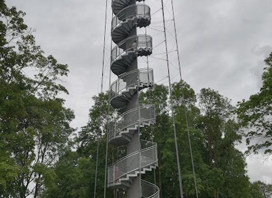 lithuania/samogitia/landmark/pasiliu-stumbrynas