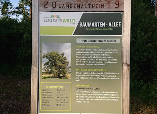 germany/altbayern/landmark/baumarten-allee