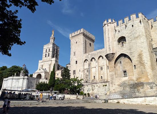 france/cote-des-blancs/landmark/palais-des-papes