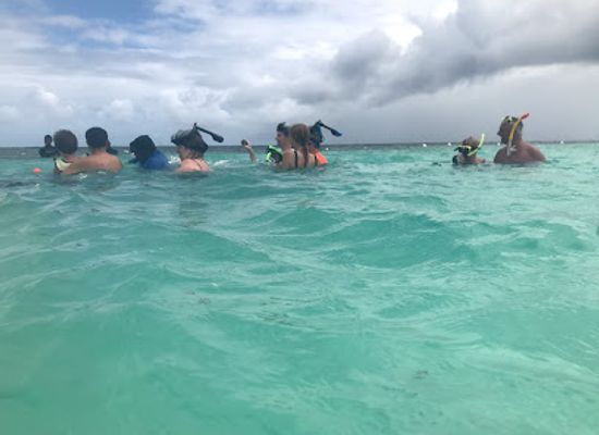 antigua-and-barbuda/saint-philip/landmark/antigua-nature-tours
