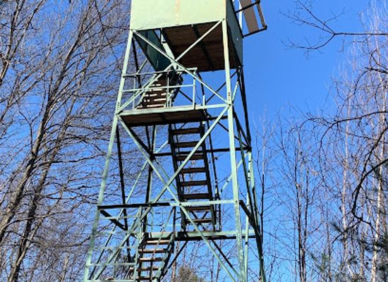 connecticut/the-quiet-corner/landmark/sessions-woods-wildlife-management