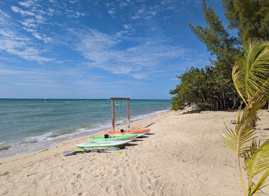 the-bahamas/berry-islands/landmark/da-pig-beach-nassau-bahamas-departures-only