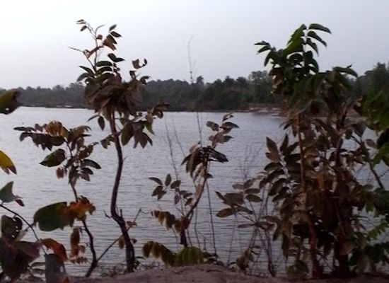 the-gambia/jarra-east/landmark/oasis-and-trails