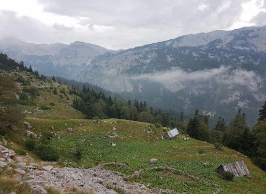 bosnia-and-herzegovina/sutjeska-national-park/landmark/perucica-primeval-forest