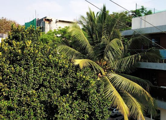 india/bengaluru/indiranagar/landmark/indiranagar