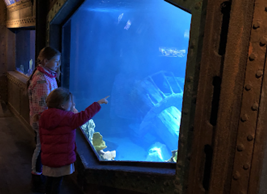 france/lorraine/landmark/aquarium-d-amneville