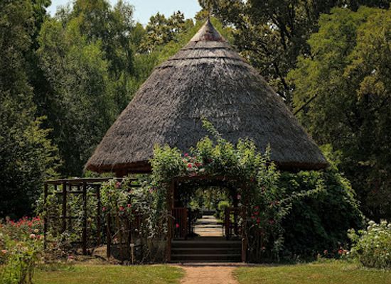 hungary/szeged/tiszaliget/landmark/botanical-garden-of-szeged