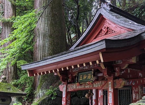 japan/nikko/landmark/taro-sugi-japanese-cedar-tree