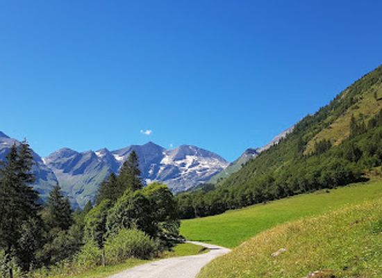 austria/hohe-tauern-national-park/landmark/hohe-tauern-national-park-exhibition-king-of-the-skies