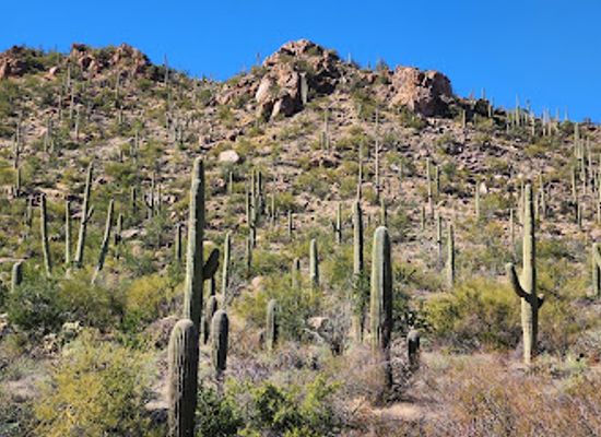arizona/tucson-mountain-park/landmark/valley-view-overlook-trail