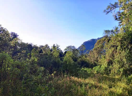 uganda/rwenzori-mountains-national-park/landmark/rwenzori-ranges-hikers-association