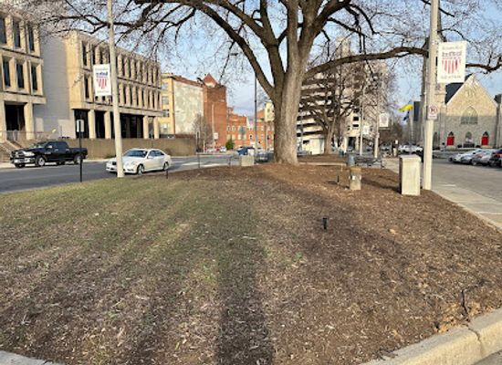 virginia/roanoke/old-southwest/landmark/henrietta-lacks-plaza