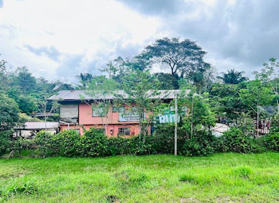 suriname/sipaliwini-district/landmark/carolina-kreek