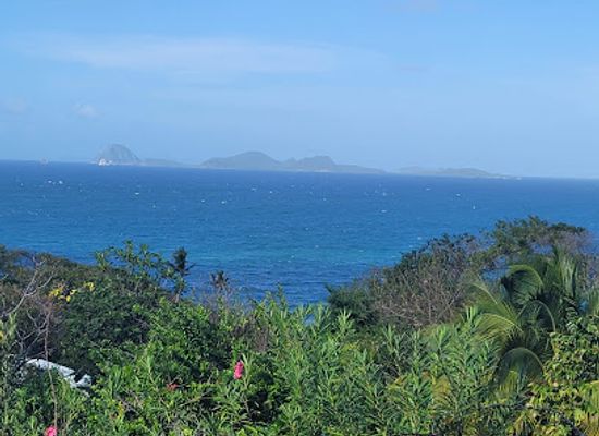 grenada/saint-patrick/landmark/armadillo-guesthouse-restaurant