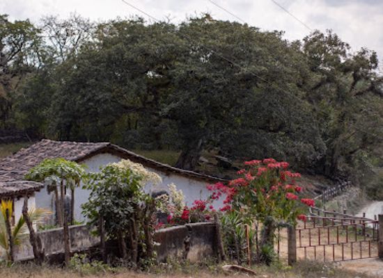 guatemala/verapaces/landmark/hacienda-los-paxtes