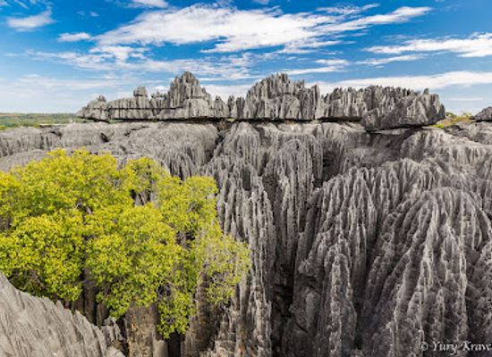 madagascar/betsiboka/landmark/tsingy-de-bemaraha-national-park