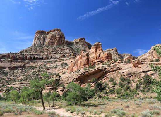 utah/book-cliffs/landmark/buckhorn-wash-pictograph-panel