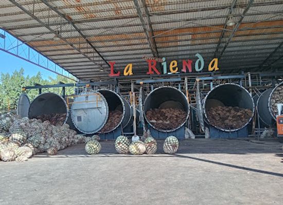 mexico/tequila-valley/landmark/tequila-jalisco-pueblo-magico