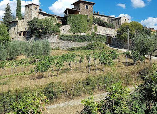 italy/chianti-classico/landmark/azienda-agricola-montefioralle-winery