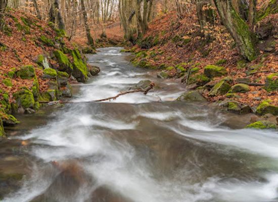 germany/harz/landmark/lonauer-wasserfall