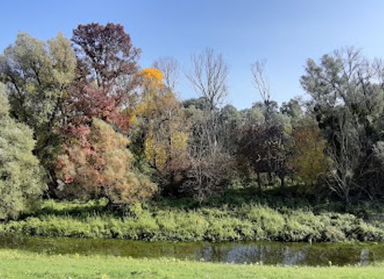 croatia/kopacki-rit-nature-park/landmark/park-prirode-kopacki-rit