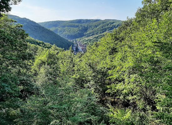 hungary/mecsek-mountains/landmark/kelet-mecsek-landscape-protection-area