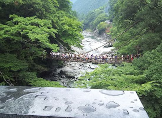 japan/awa/landmark/nagoro-scarecrow-village
