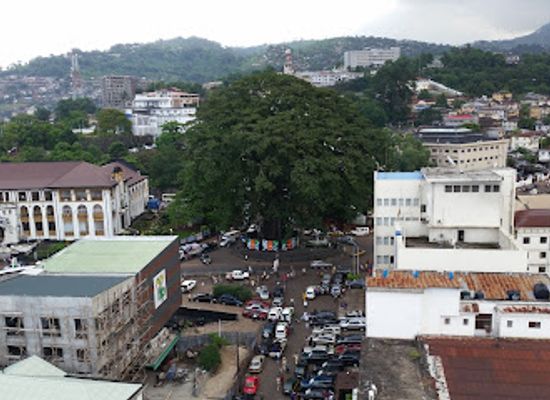 sierra-leone/freetown/landmark/cotton-tree