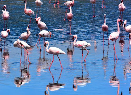 namibia/walvis-bay/landmark/sandwich-harbour-4x4-booking-and-check-in-office