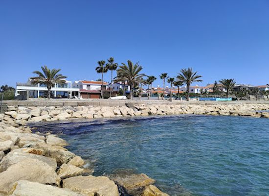cyprus/larnaca-salt-lake/landmark/pattihio-forest-park