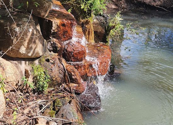 australia/atherton-tablelands/landmark/platypus-park