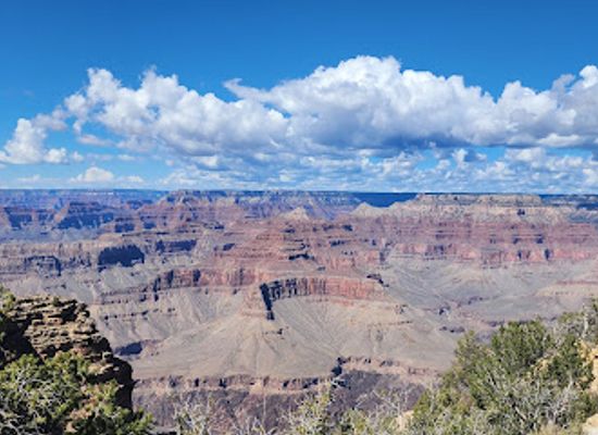 arizona/grand-canyon/landmark/kaibab-national-forest