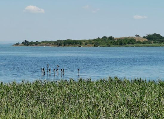 bulgaria/burgas/landmark/nature-conservation-center-poda