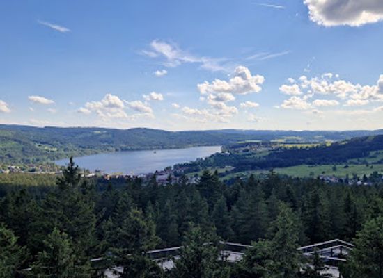 czechia/sumava/landmark/kralovstvi-lesa-lipno