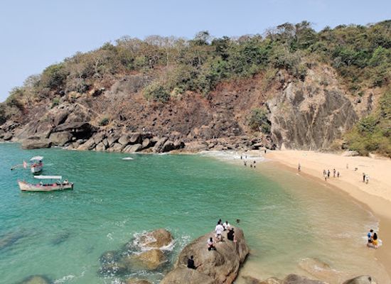india/goa-beaches/landmark/butterfly-beach