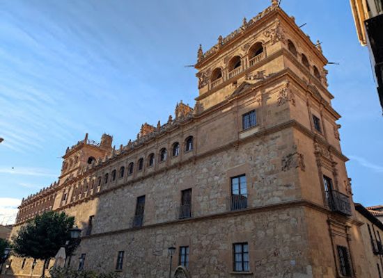 spain/salamanca/san-bernardo/landmark/monterrey-s-palace