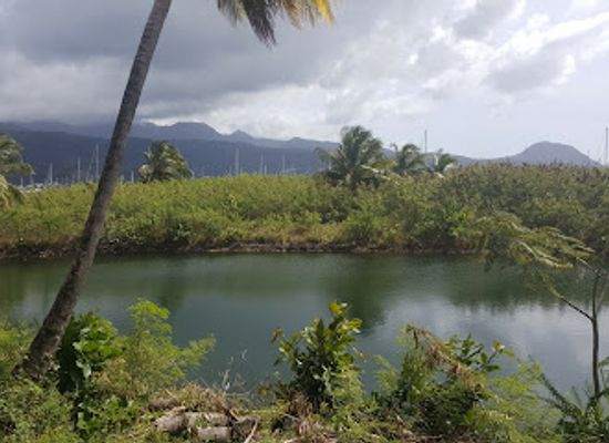 dominica/emerald-pool/landmark/fort-shirley