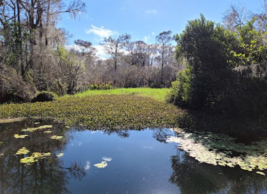 florida/big-cypress-national-preserve/landmark/kirby-storter-roadside-park
