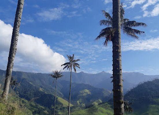 colombia/cocora-valley/landmark/morrogacho-montain