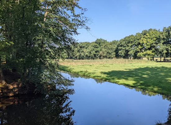 netherlands/gooi/landmark/natuurmonumenten-corvers-forest