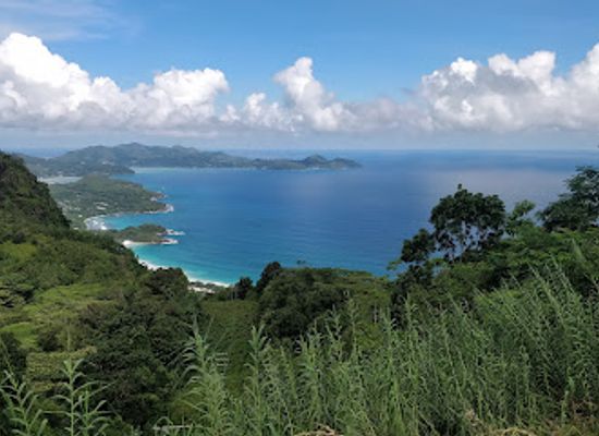 seychelles/port-glaud/landmark/tea-factory