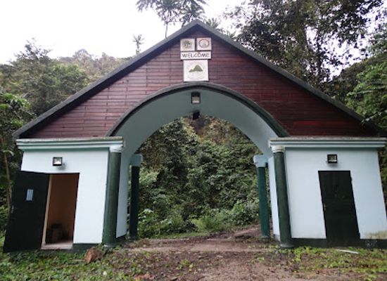 cameroon/centre-region/landmark/mount-cameroon-national-park