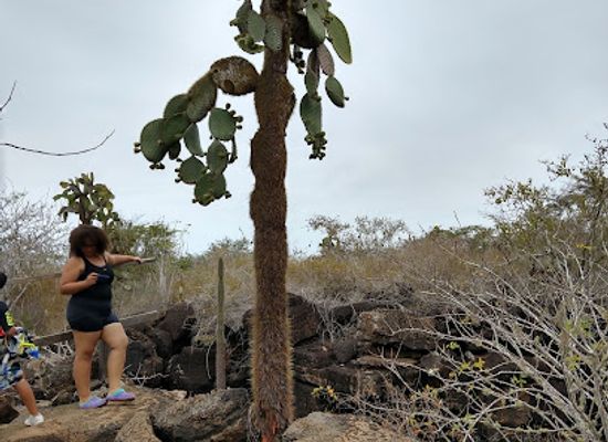 ecuador/galapagos-islands/landmark/galapagos-deli
