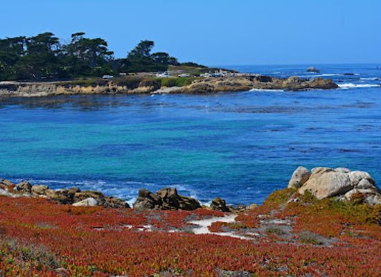 california/carmel-by-the-sea/landmark/bird-rock-vista-point
