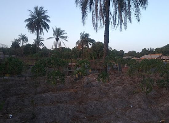 the-gambia/brikama/landmark/jamisa-primary-school