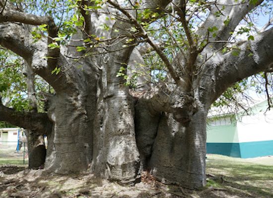 barbados/saint-michael/landmark/queen-s-park